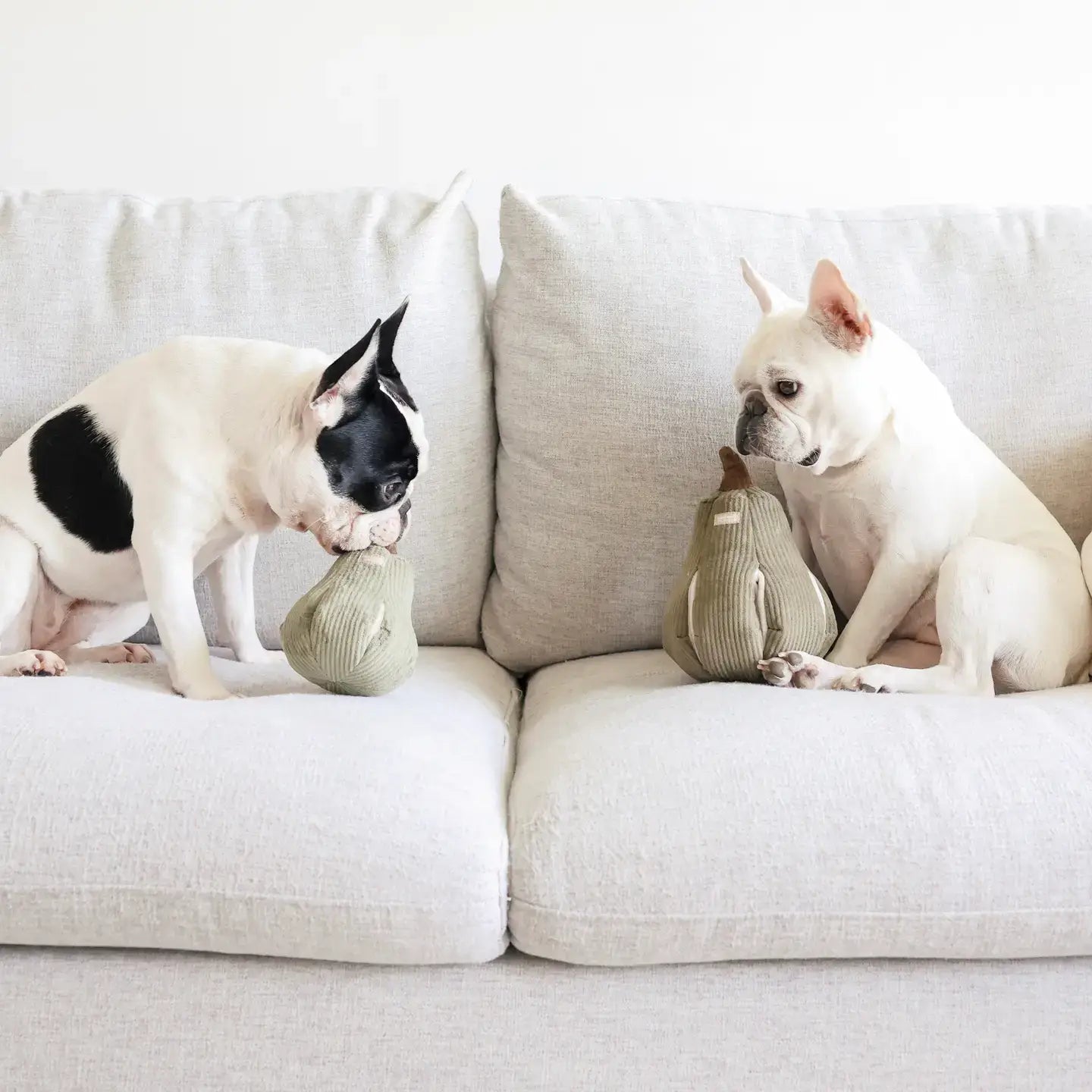 BUTTERNUT/SILENT TOY/Ultrasonic squeakers: S
