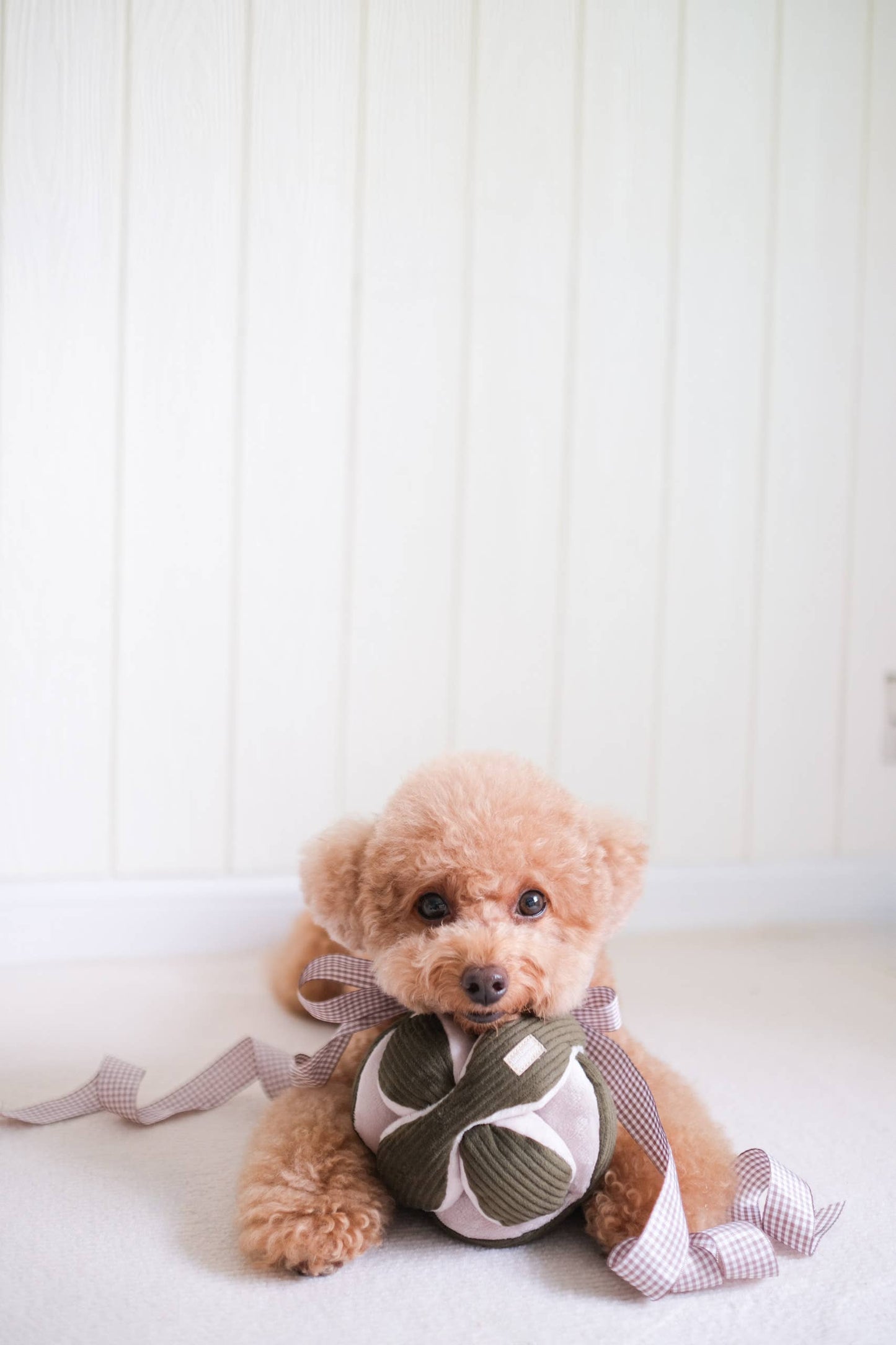 MONTI*//Enrichment Toy: Pink- Small