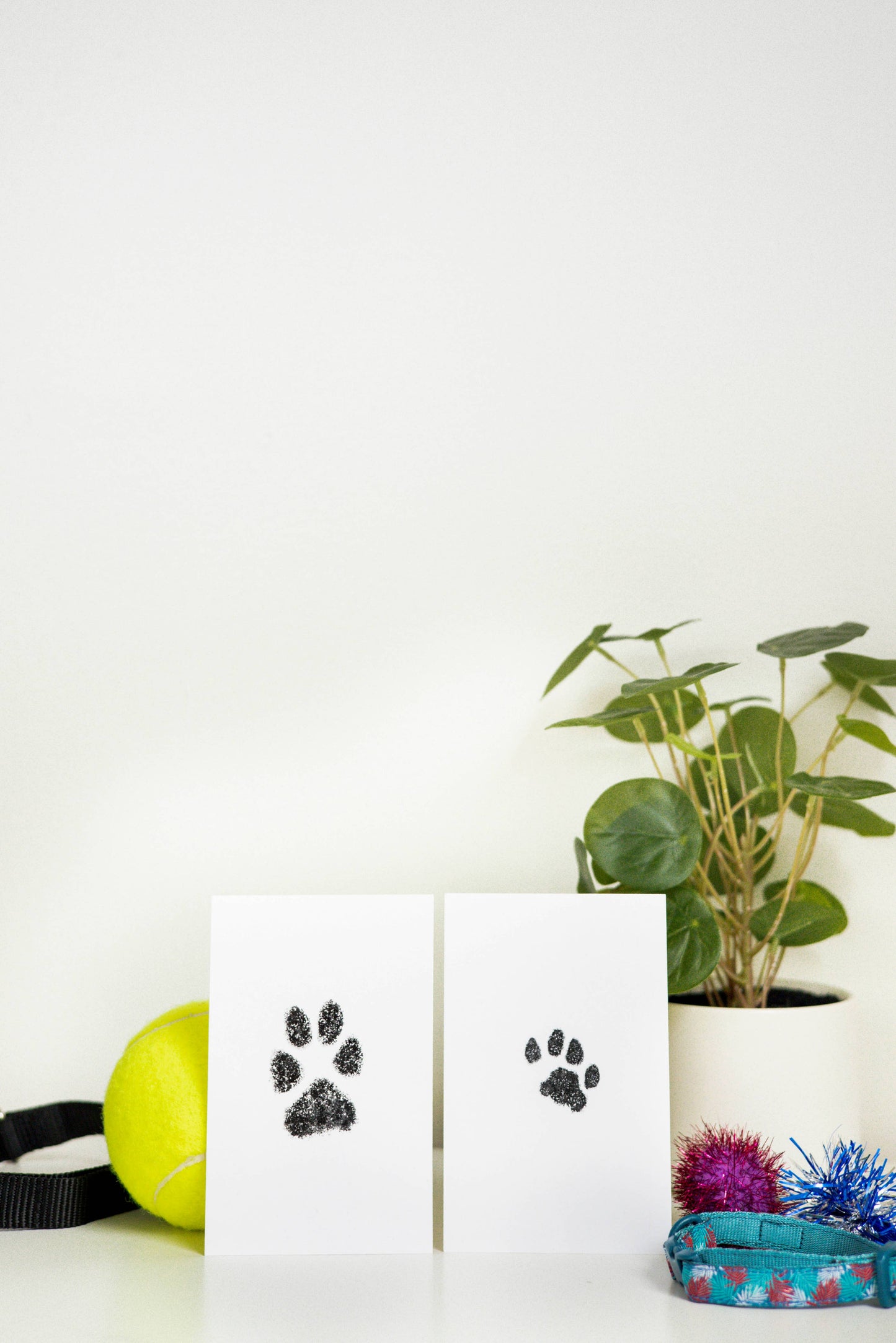 Pet Pawprint Clean-Touch Ink Pad, Black: One Pack