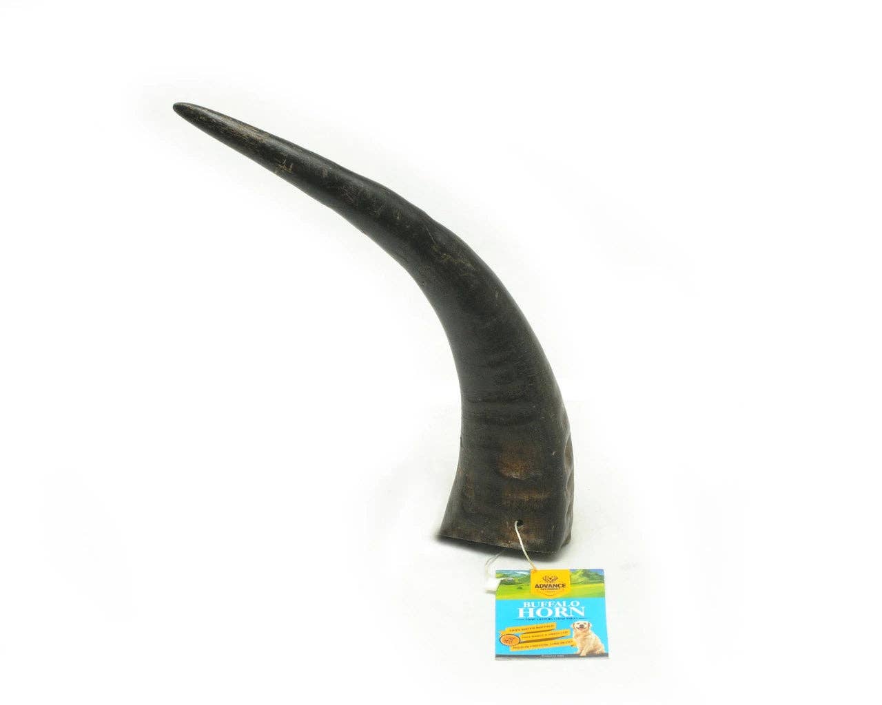 Water Buffalo Horns! Great for aggressive chewers! Long-last: Single / Large