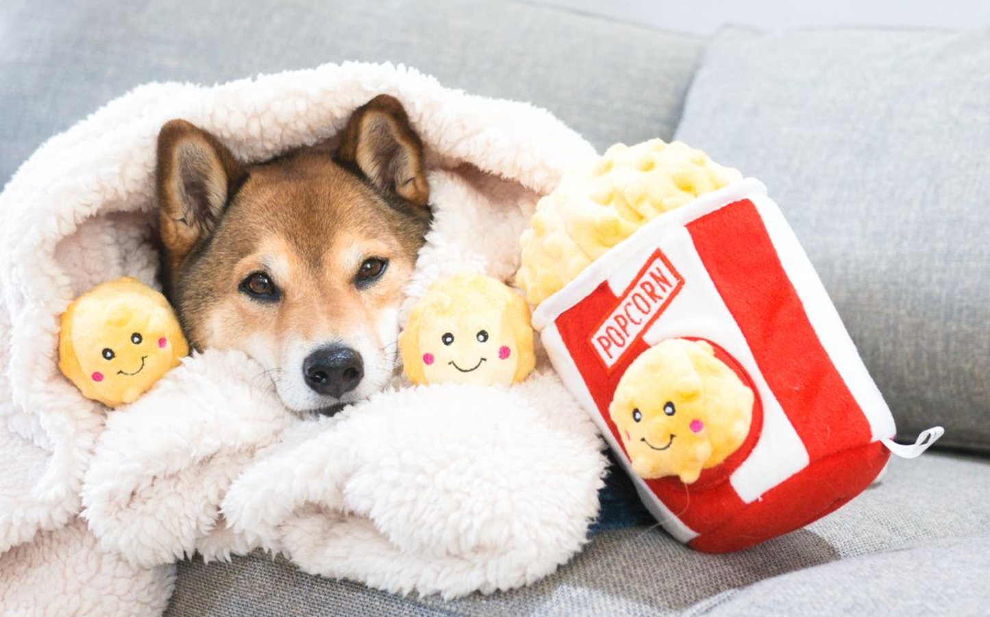 Zippy Burrow - Popcorn Bucket - Dog Toy