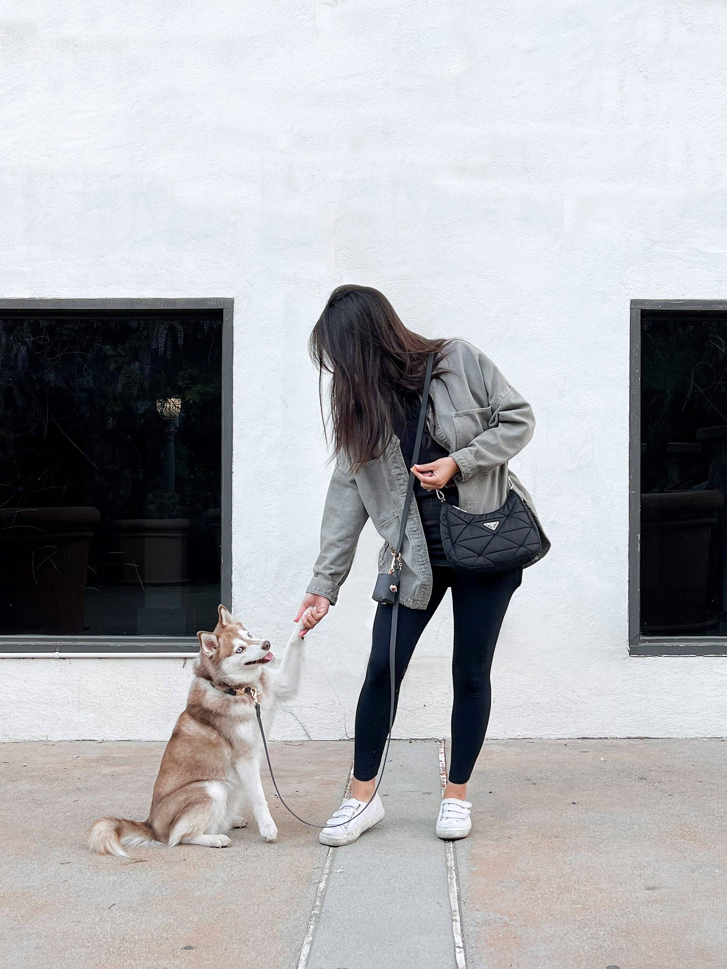 Ember Black 4-in-1 Convertible Hands Free Cloud Dog Leash