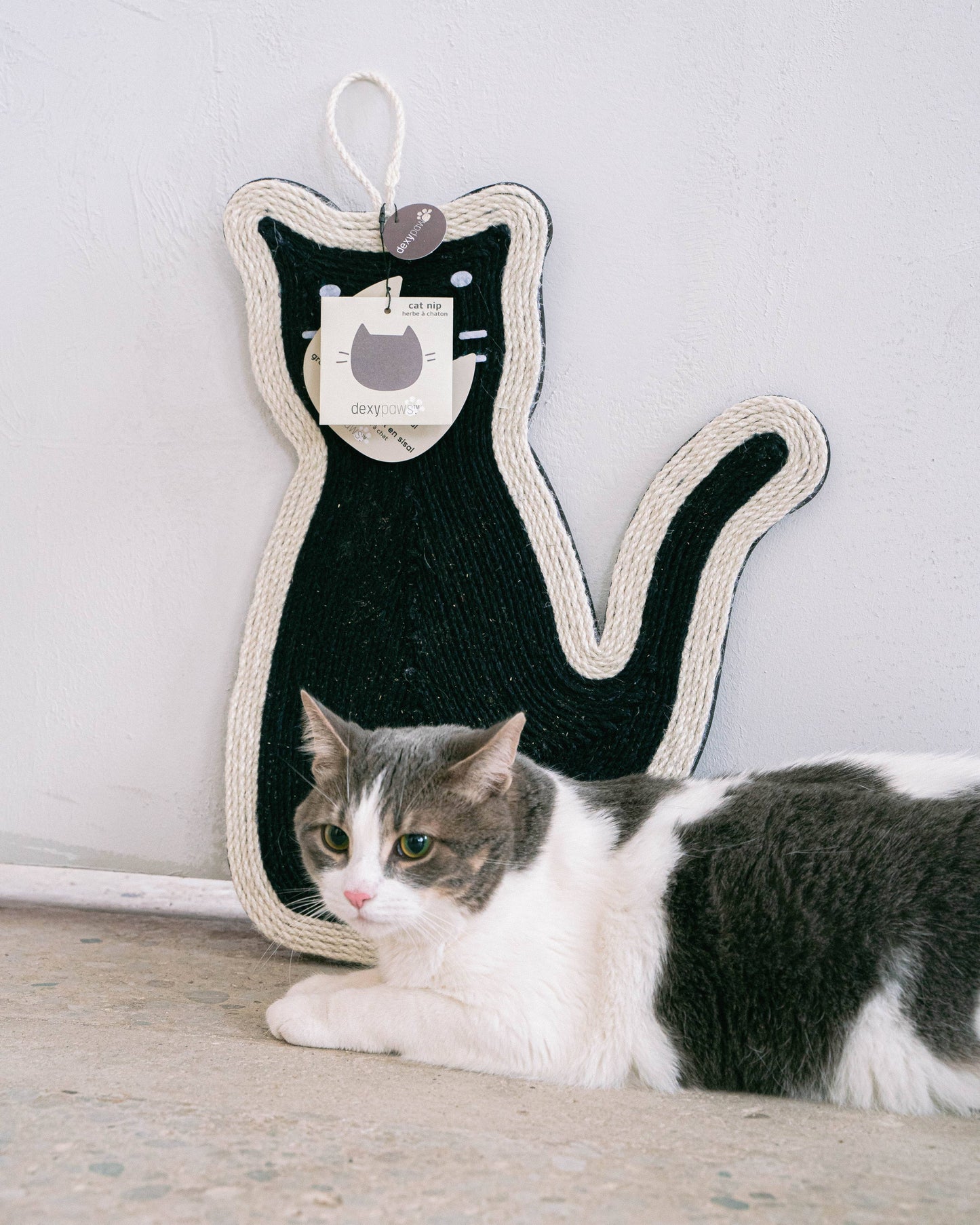 Sitting Cat Scratcher with Cat Nip