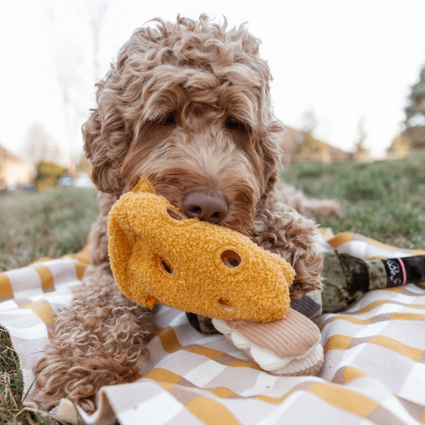 FROMAGE//ENRICHMENT DOG TOY