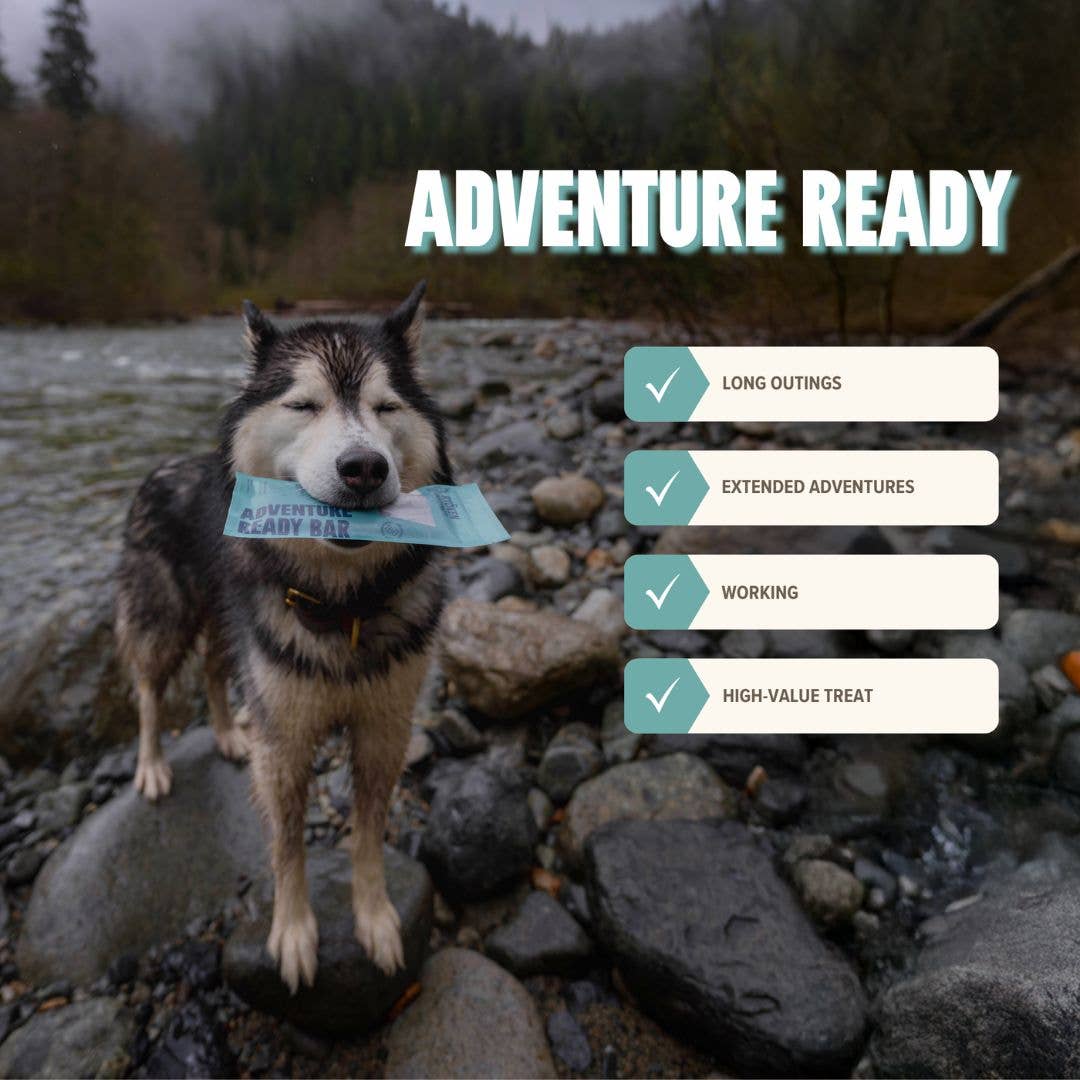 Seafood Treat & Snack Bar for Active Dogs -Energy & Recovery