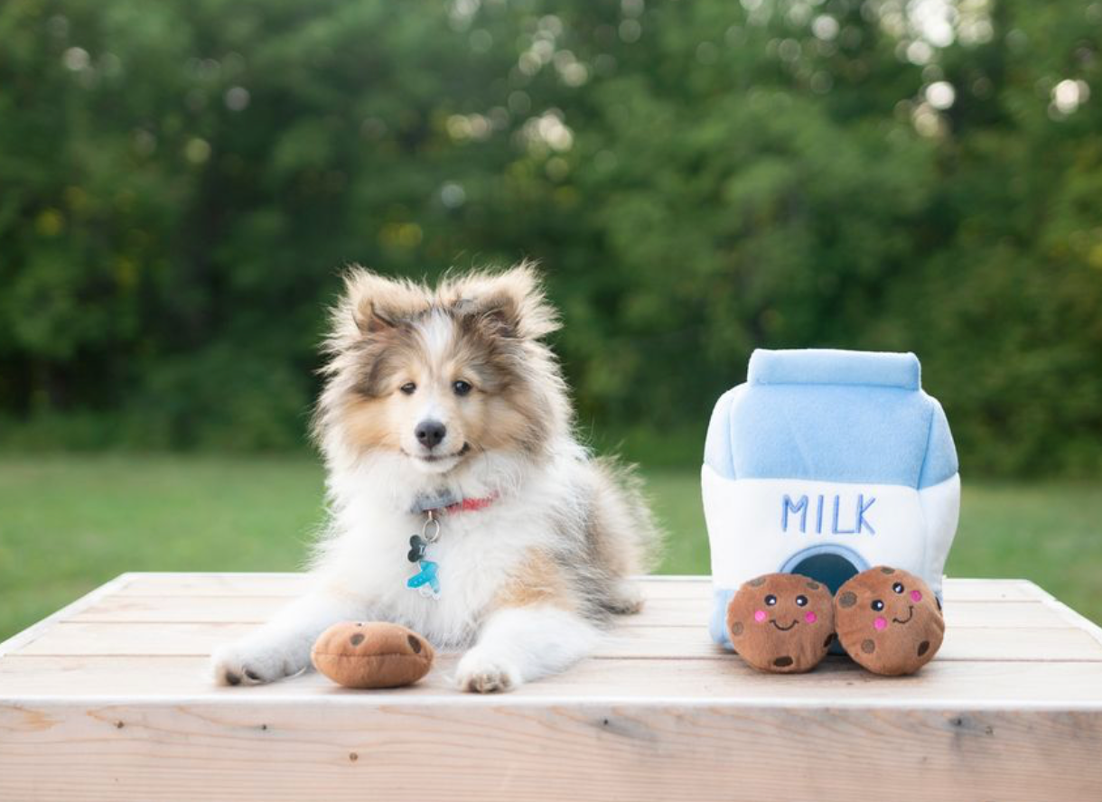 Zippy Burrow - Milk and Cookies - Dog Toy