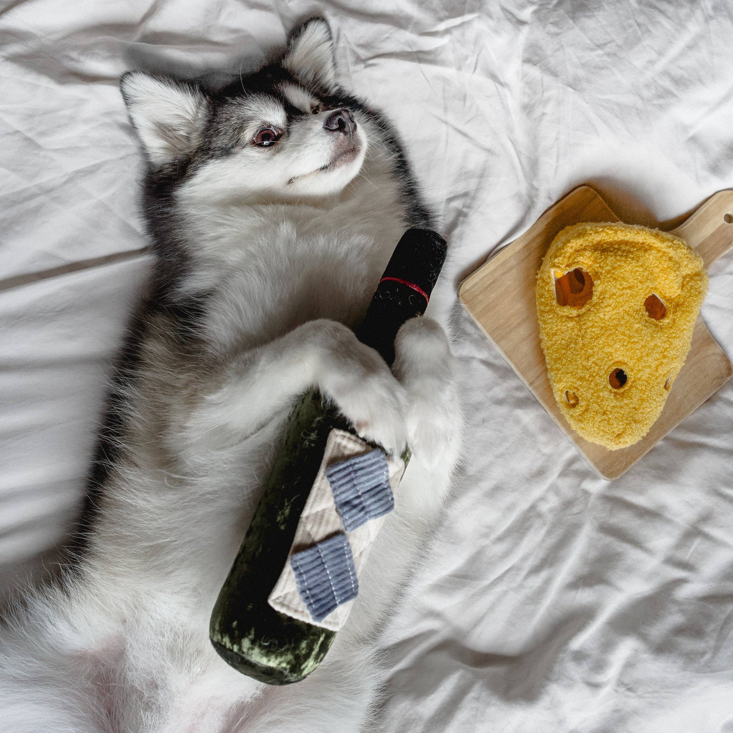 FROMAGE//ENRICHMENT DOG TOY