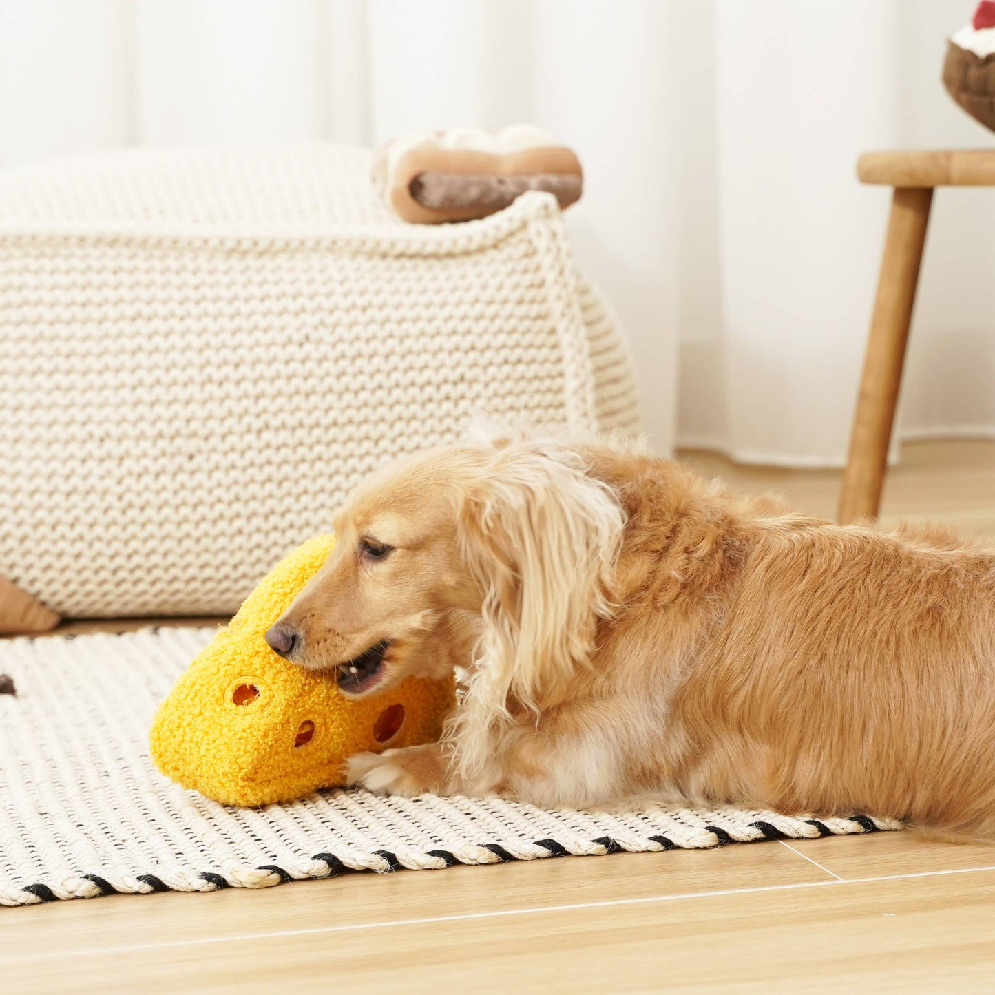 FROMAGE//ENRICHMENT DOG TOY