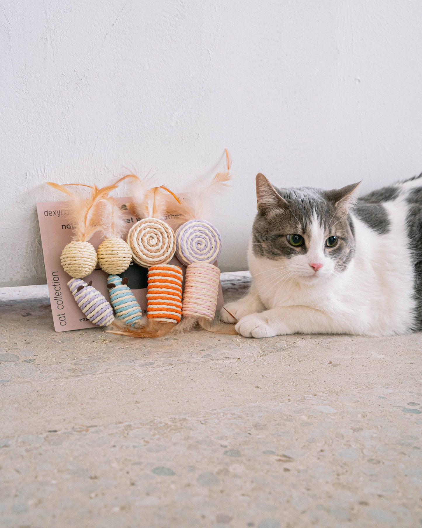 Cat 8-Piece Sisal & Feather Set