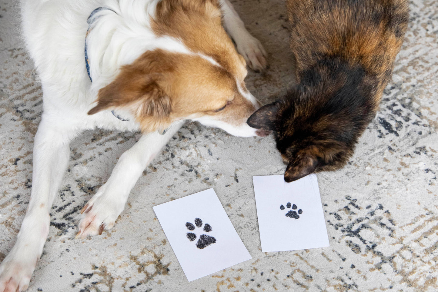 Pet Pawprint Clean-Touch Ink Pad, Black: One Pack