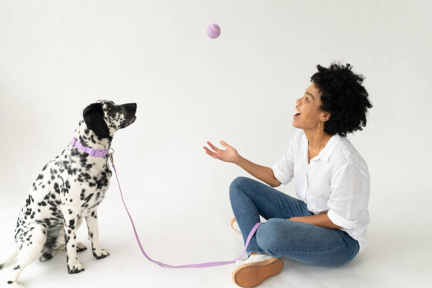 Premium Four Dog Tennis Balls, 4pack
