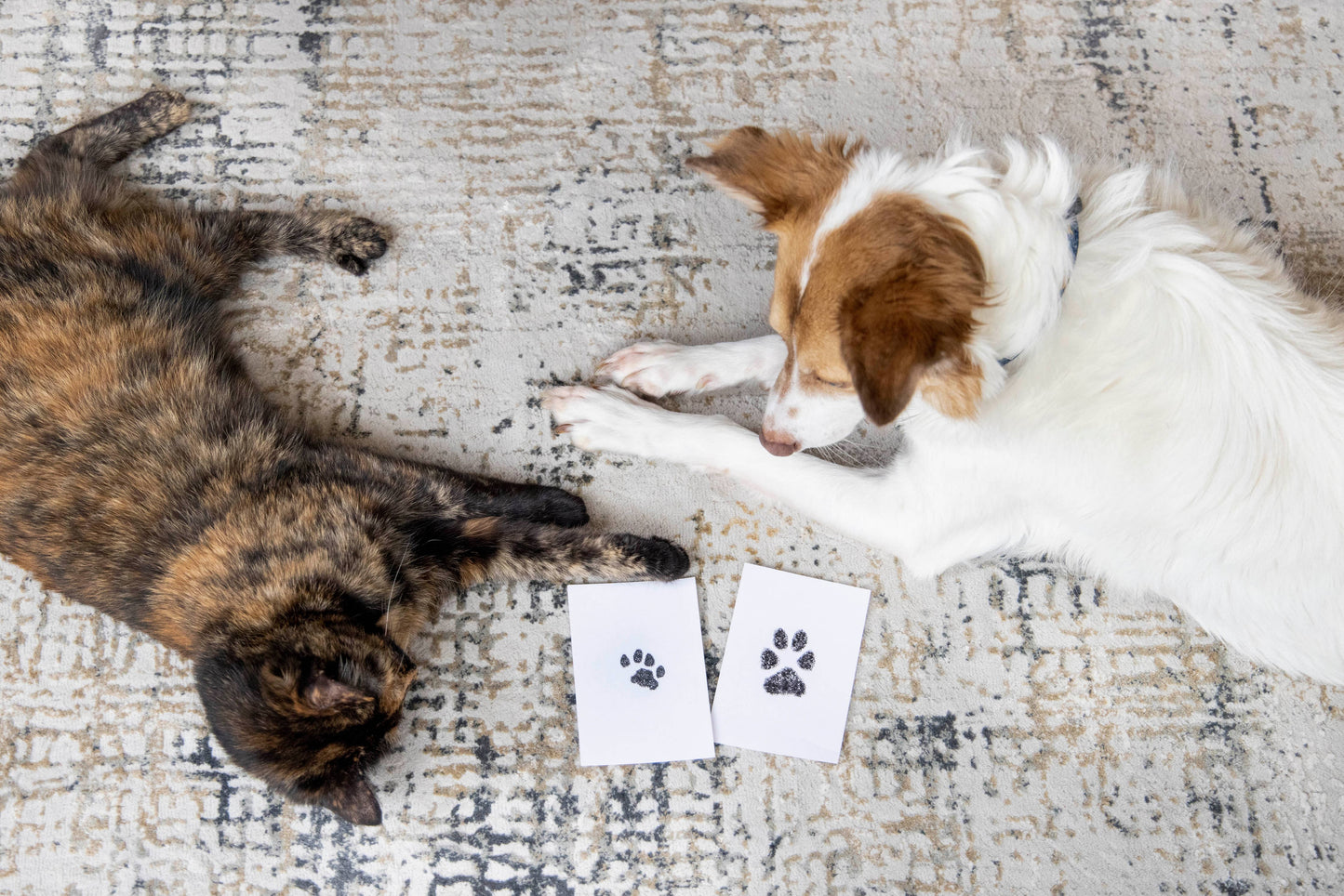Pet Pawprint Clean-Touch Ink Pad, Black: One Pack