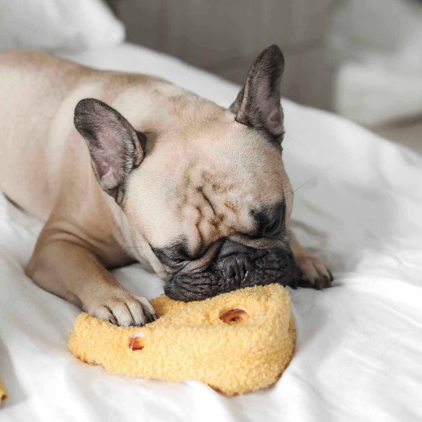 FROMAGE//ENRICHMENT DOG TOY