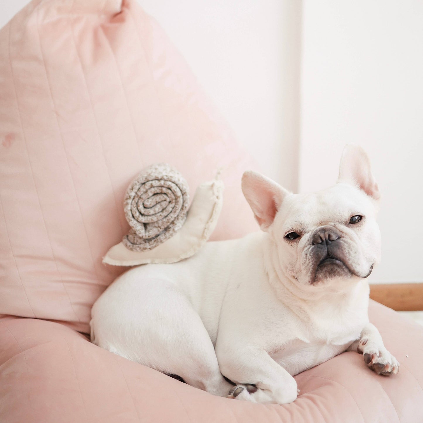 SNAIL//ENRICHMENT DOG TOY