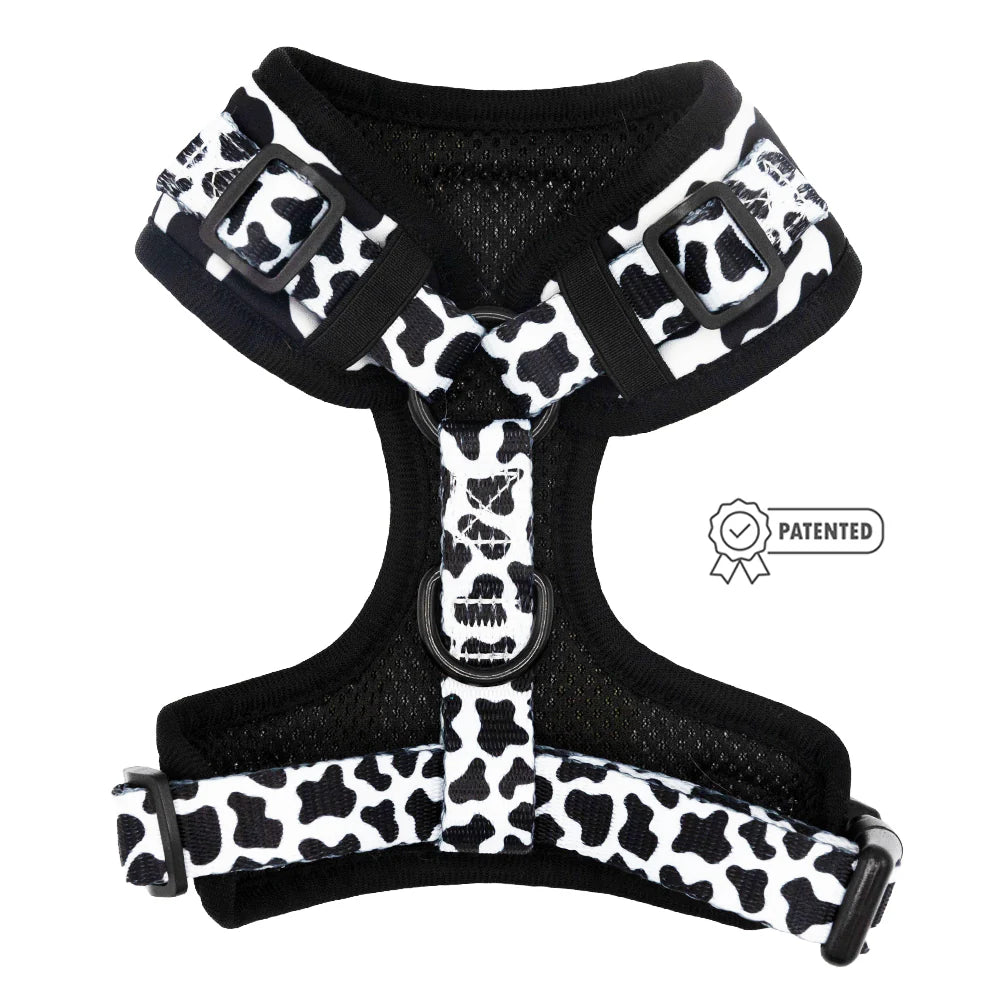 SASSY WOOF - COWPRINT HARNESS