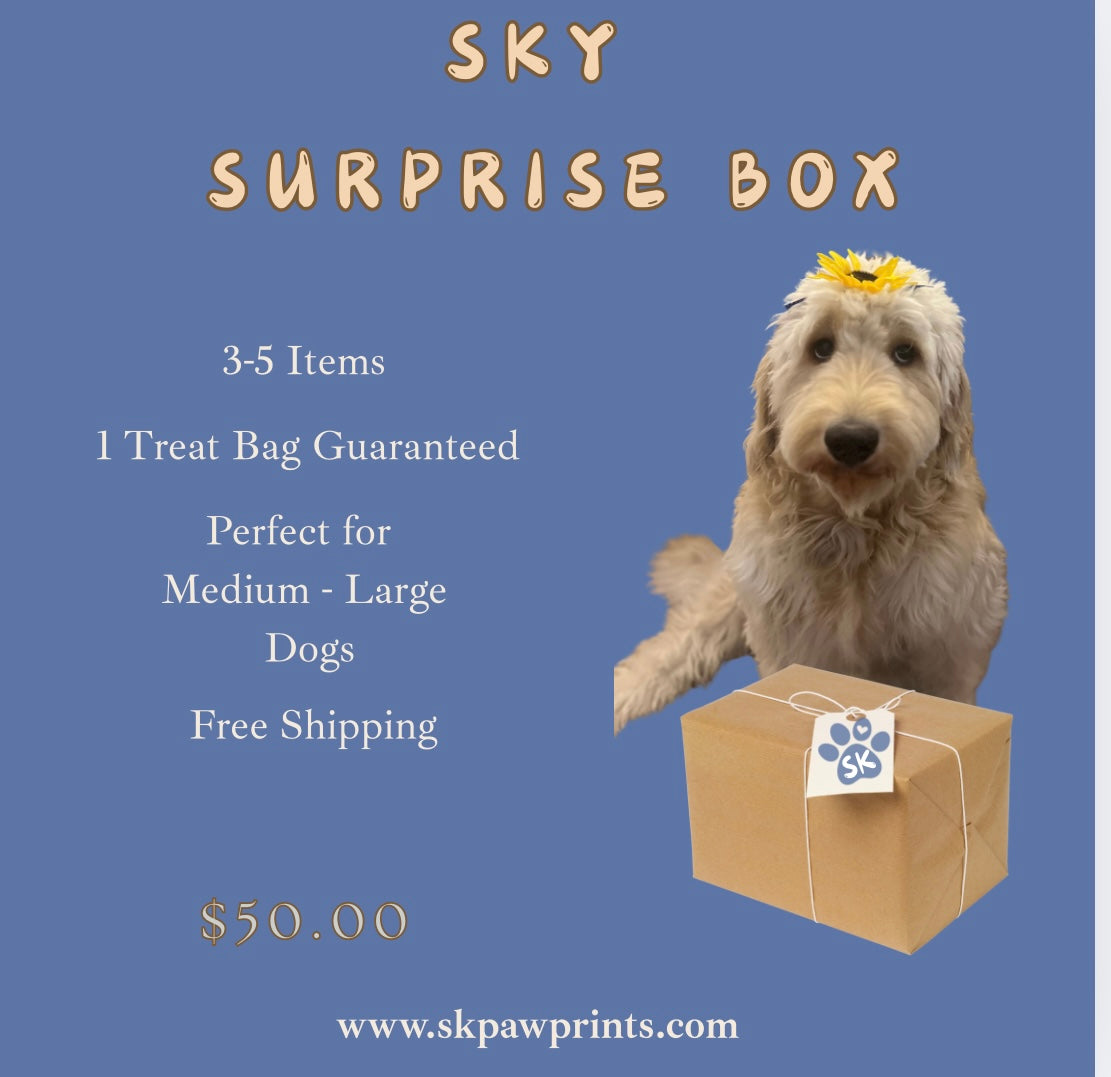 SKY SURPRISE BOX-: MEDIUM - LARGE DOG