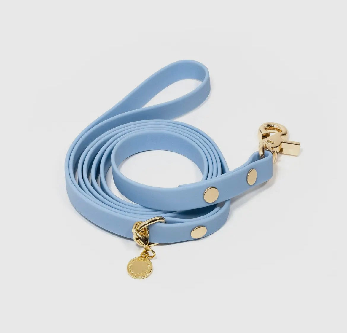 Sun Pet Leash Waterproof- Blue, Lightweight 5FT