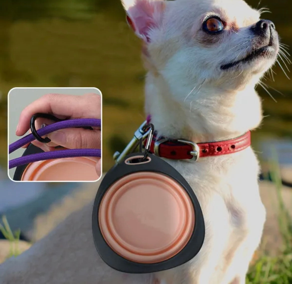 Pet Collapsible Bowls