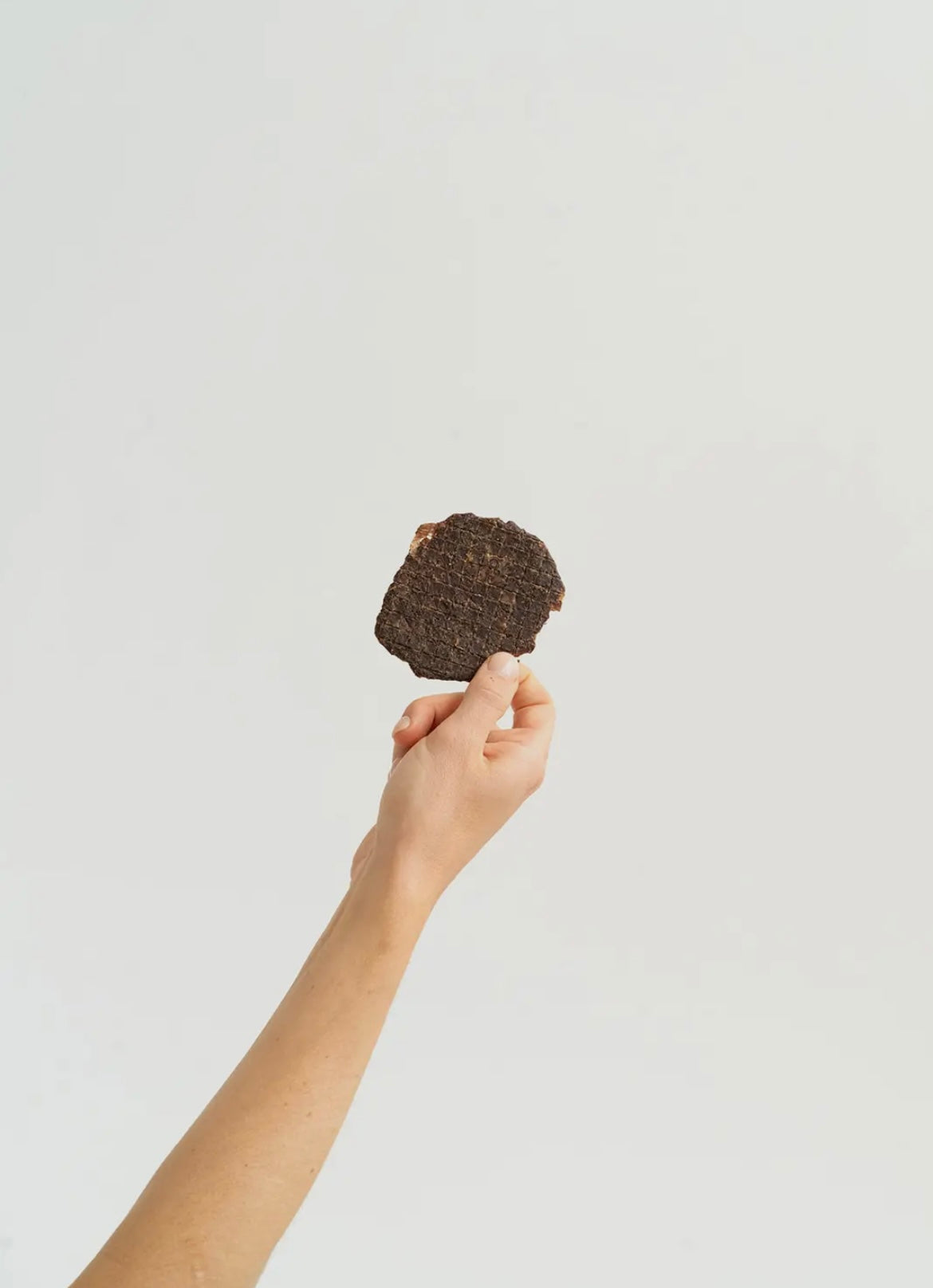 Weenie Lou - Bison Burger Jerky