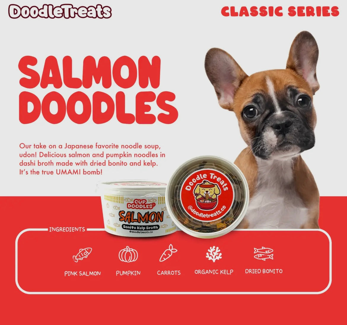 Doodle Treats - Salmon Cup Noodles For Dogs and Cats