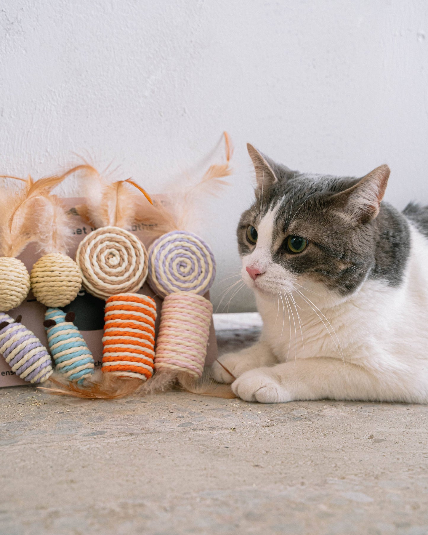 Cat 8-Piece Sisal & Feather Set