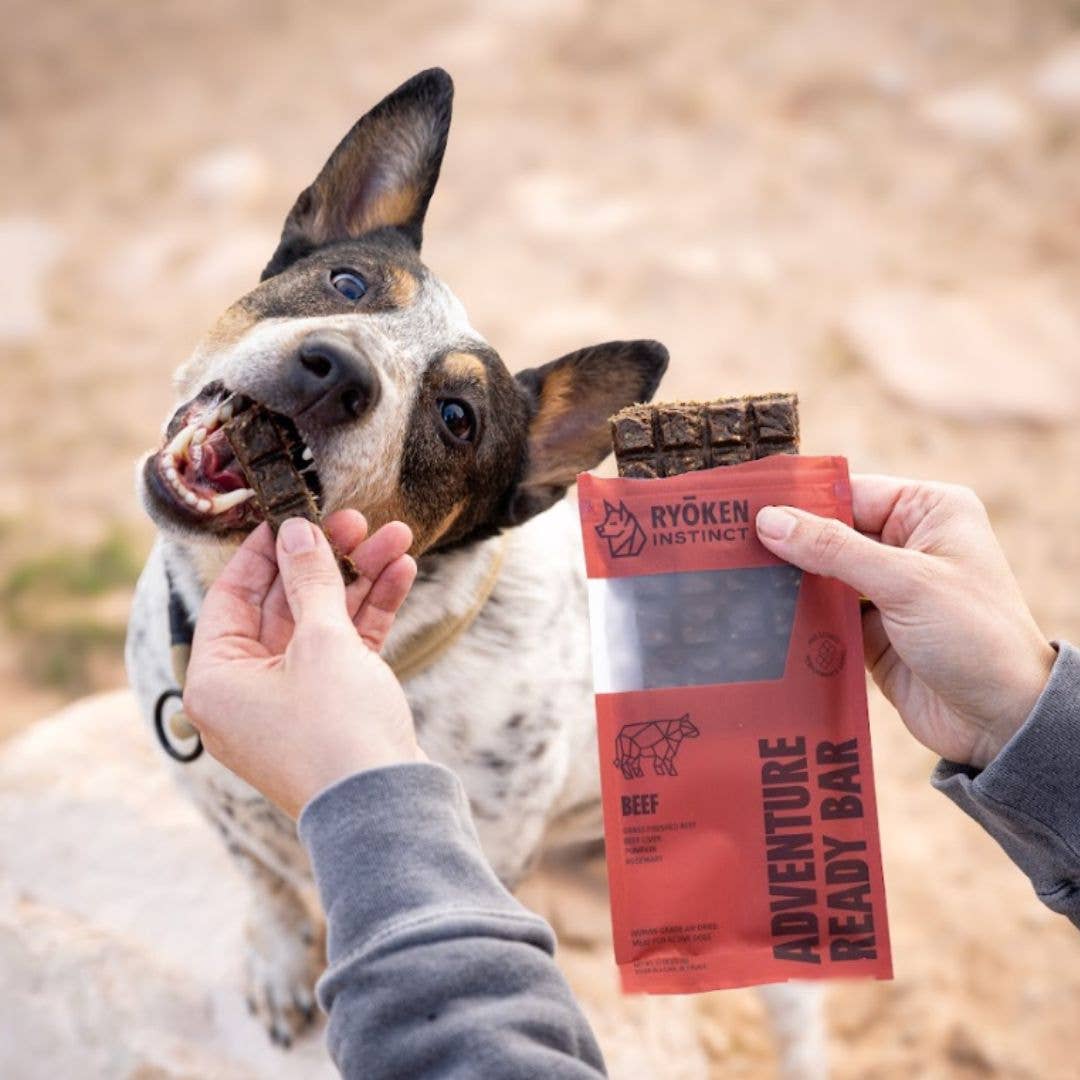 Beef Treat & Snack Bar for Active Dogs - Energy & Recovery