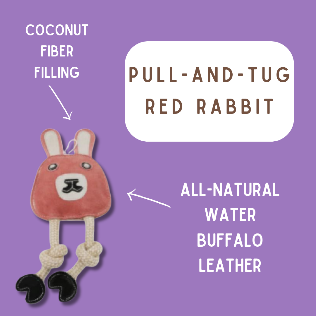 Pull-and Tug Rabbits: