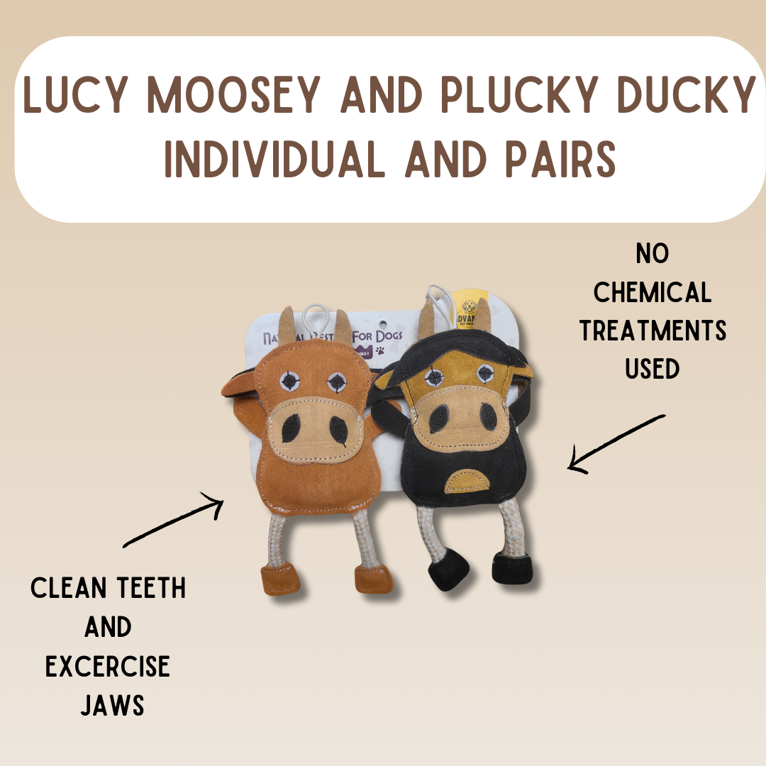 All-Natural Besties for Dogs. Six animal options!: Lucy Moosey