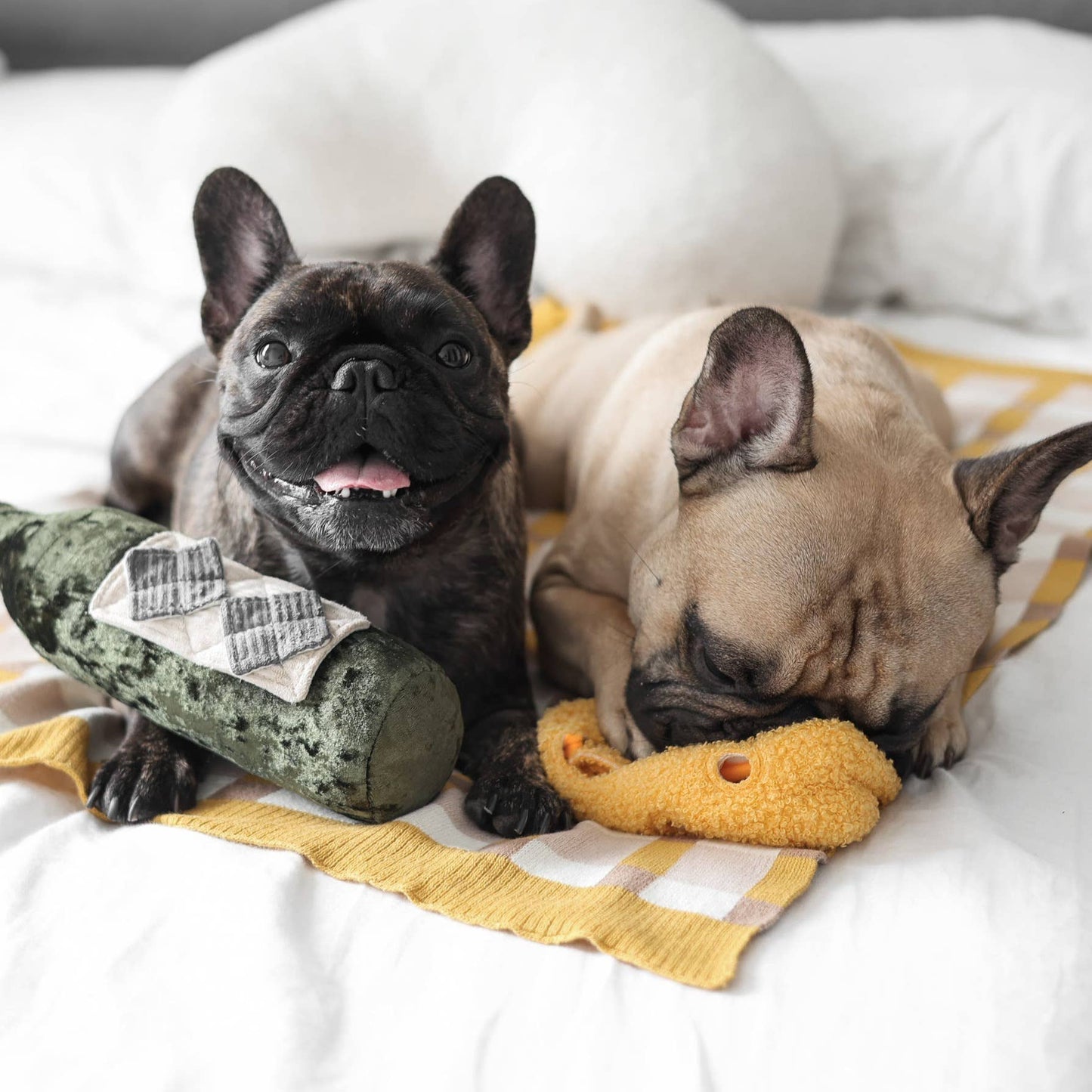 FROMAGE//ENRICHMENT DOG TOY