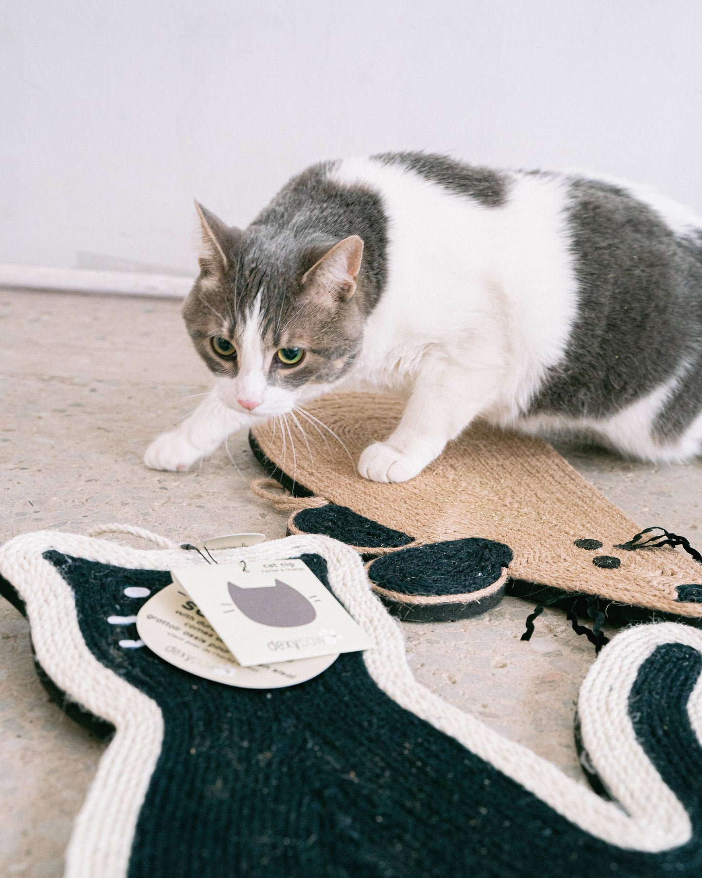 Sitting Cat Scratcher with Cat Nip