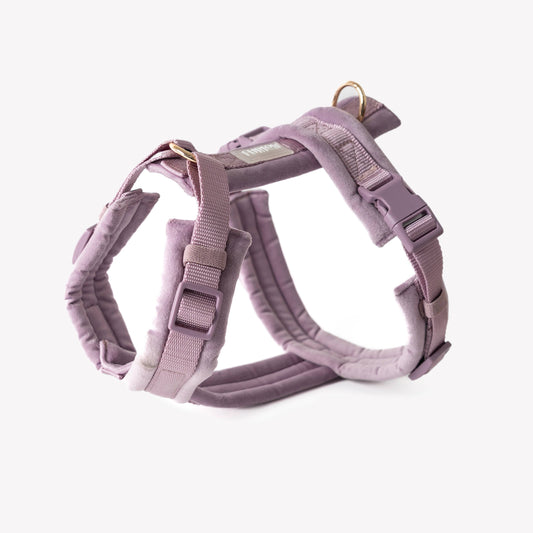 'Lilac - Velvet Dog Harness': LARGE