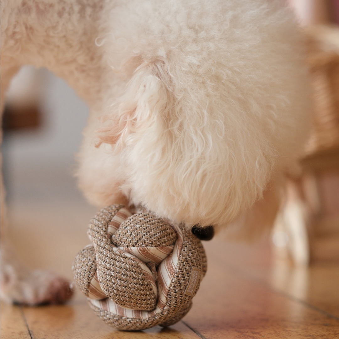 MINI MONTI //Enrichment Toy: STRAWBERRY