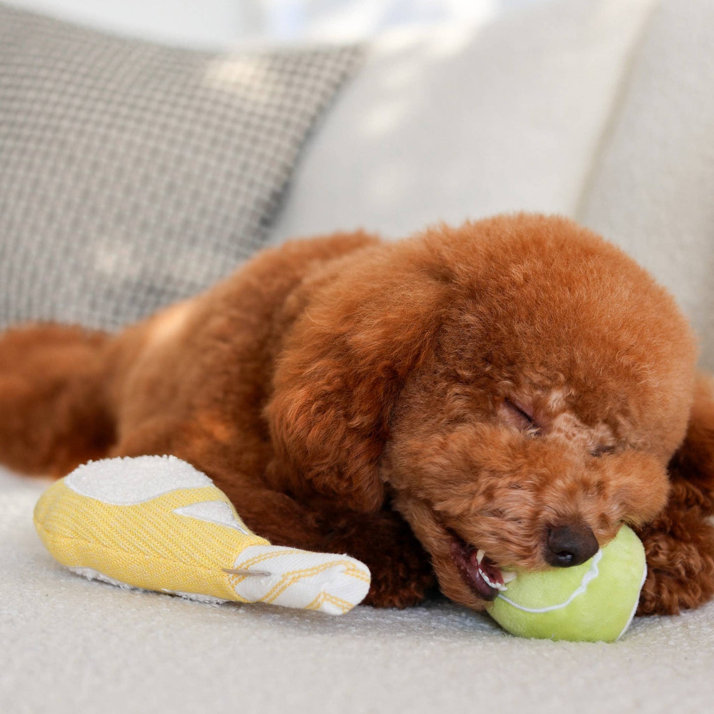 TENNIS POP // ENRICHMENT DOG TOY // Squeaky Ball Set