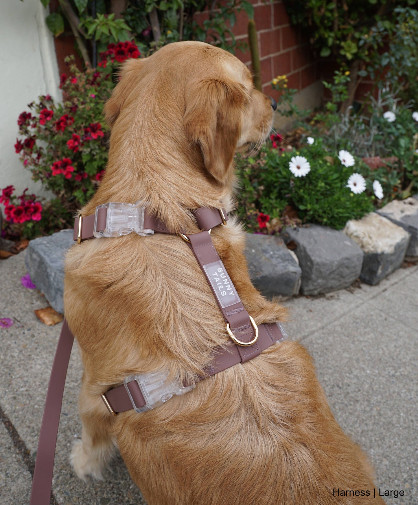 Espresso Brown 4-in-1 Convertible Hands Free Cloud Dog Leash
