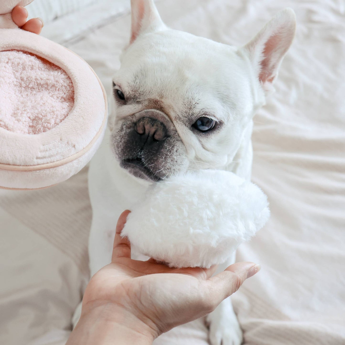 BLUSH // ENRICHMENT DOG TOY // SNUFFLE