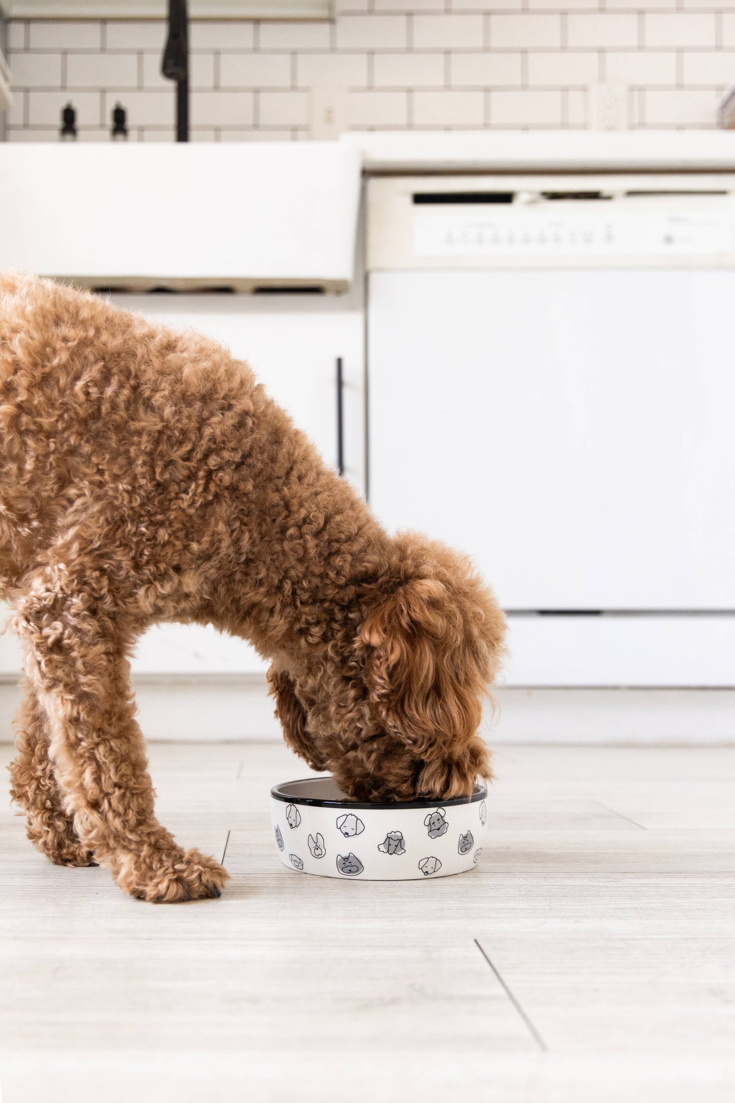 Dog Faces Pattern Ceramic Pet Bowl, Small/Medium