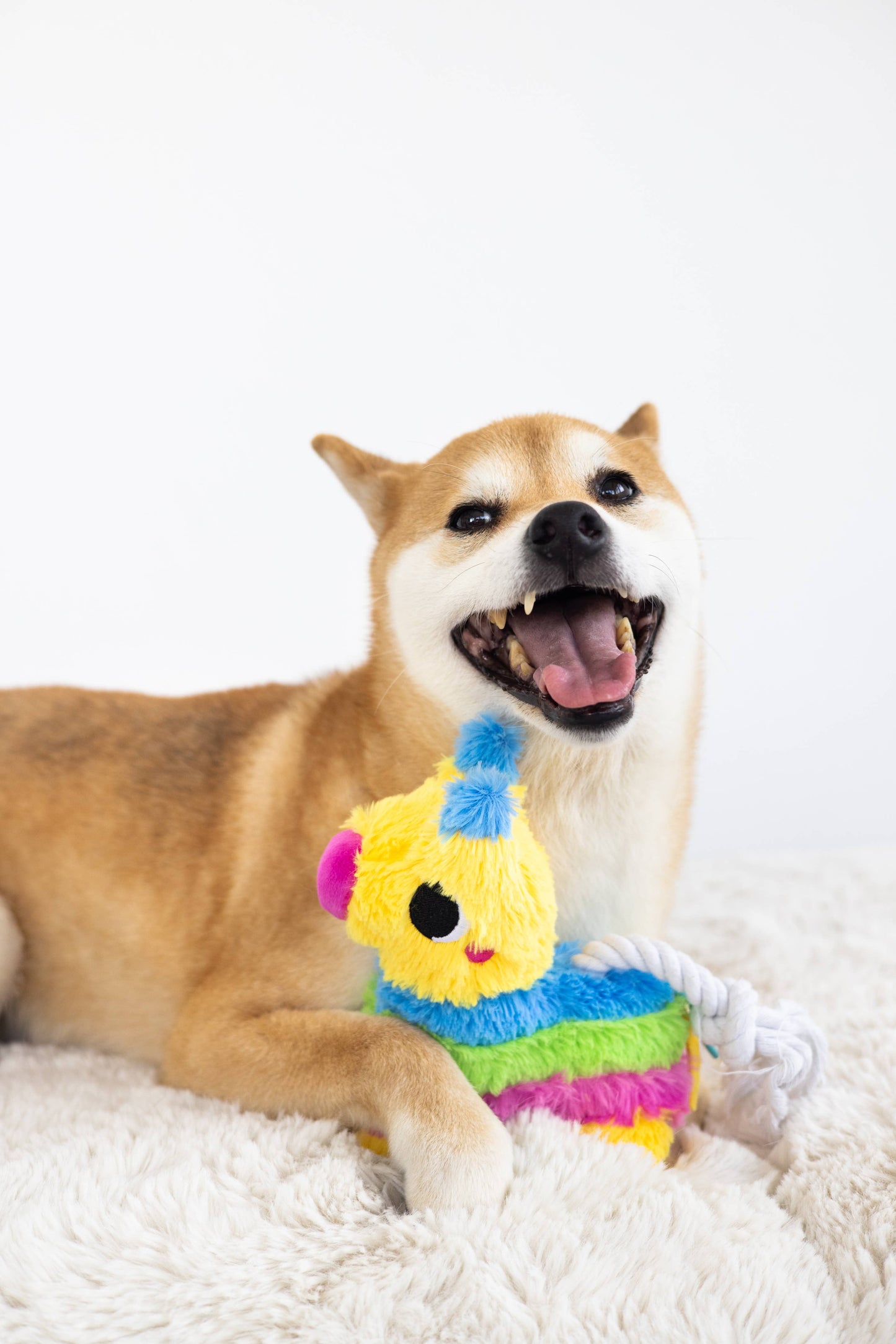 Puppy Pinata Dog Toy