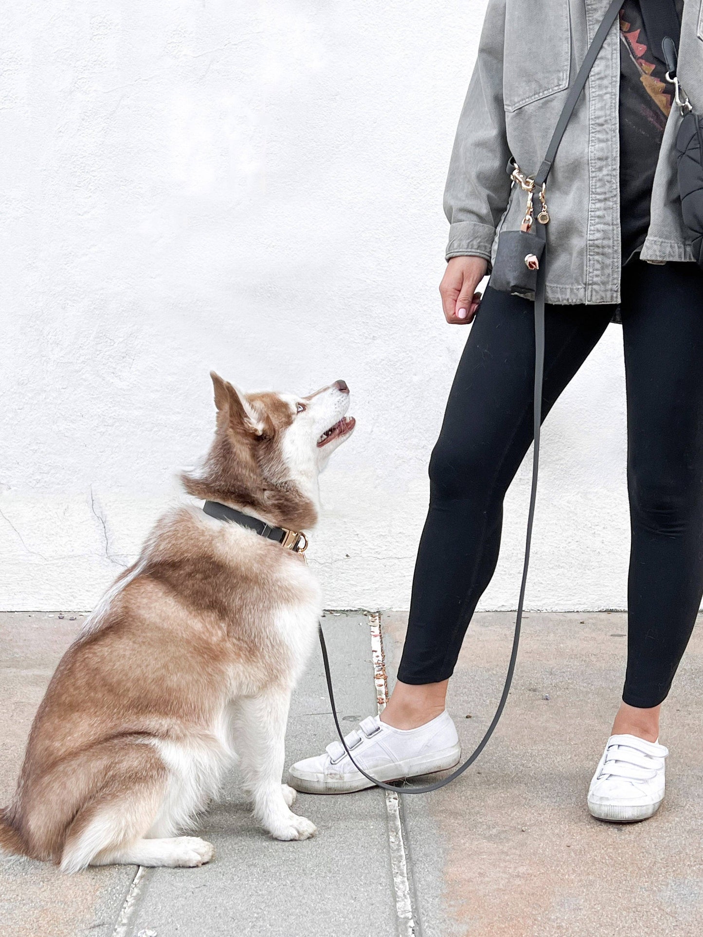 Ember Black 4-in-1 Convertible Hands Free Cloud Dog Leash
