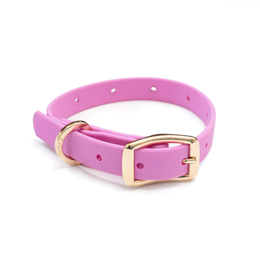 Moodies Collar: BB Pink / L
