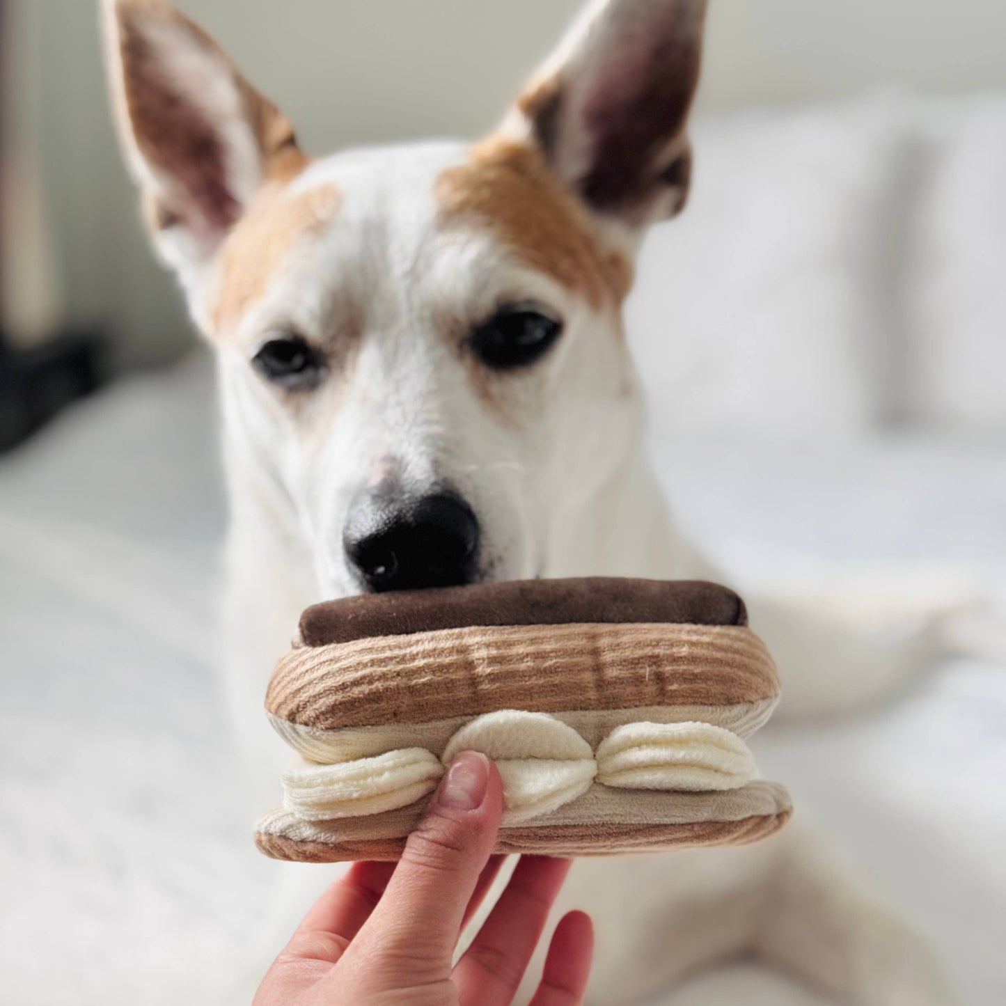 ECLAIR/ENRICHMENT DOG TOY