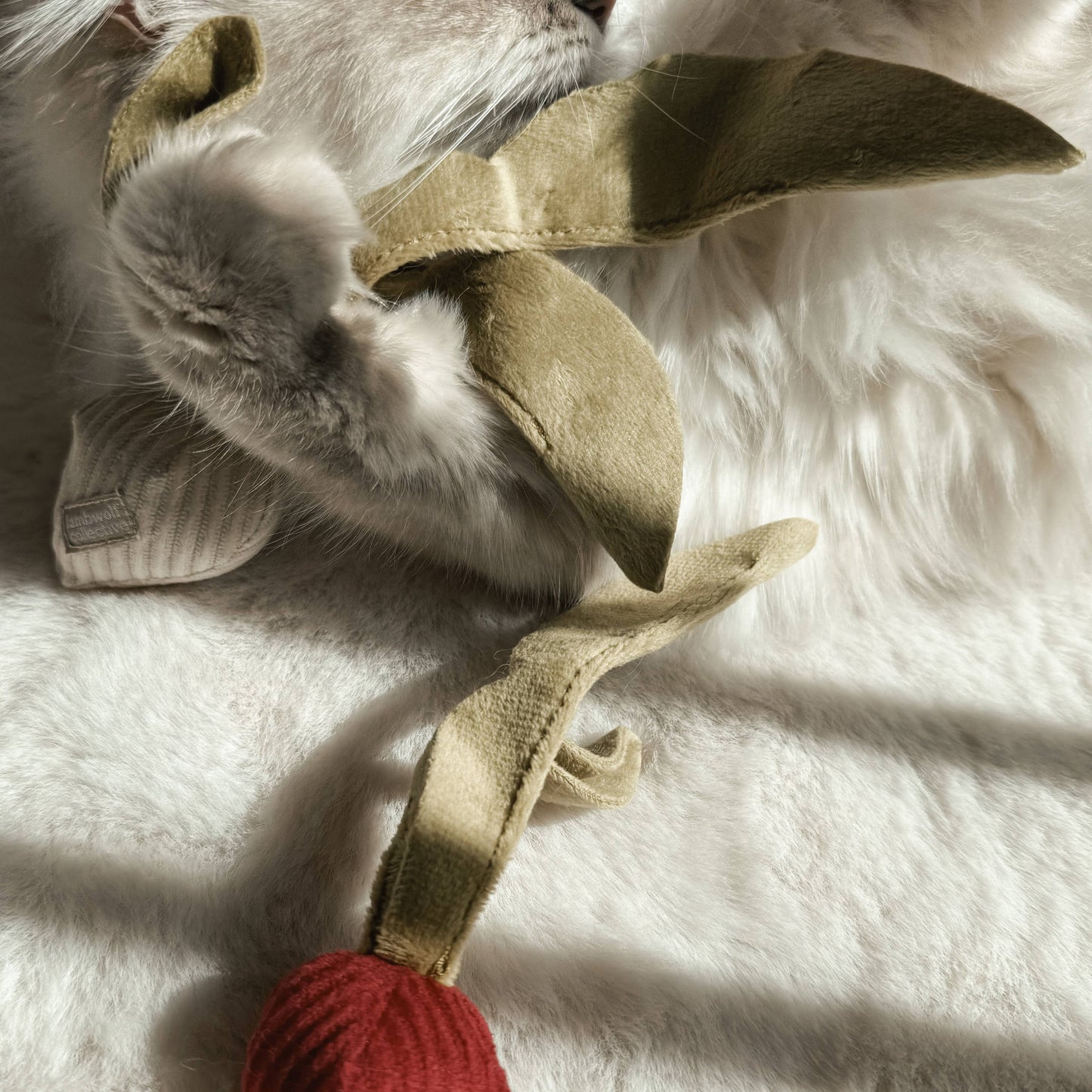 KITTY RADISH // CAT TOY // CATNIP: S/ CREAM