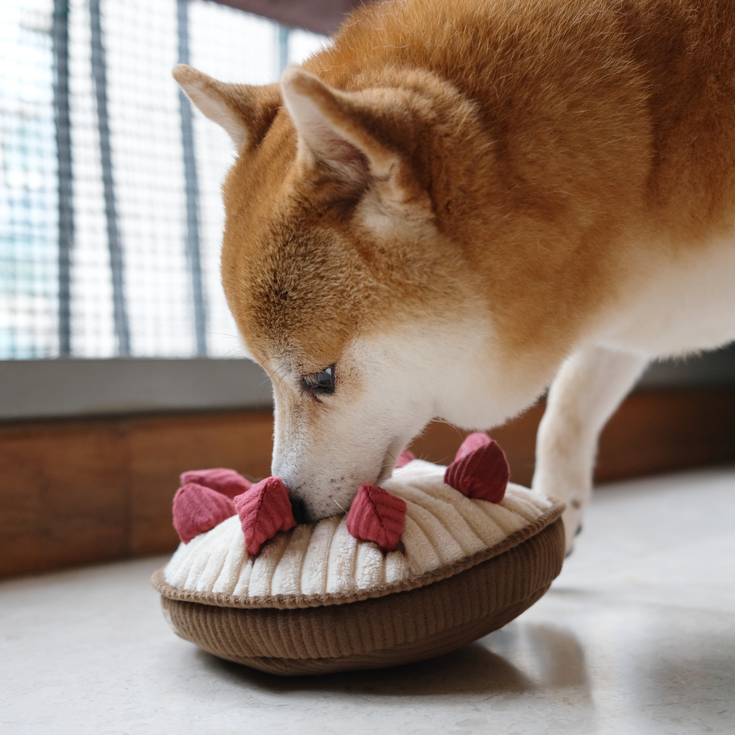 BERRY PIE//ENRICHMENT DOG TOY