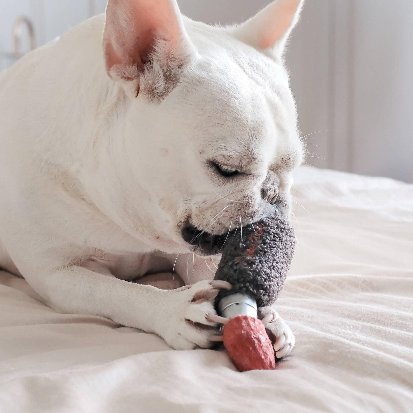 LIPSTICK // ENRICHMENT DOG TOY // Squeaky Toy