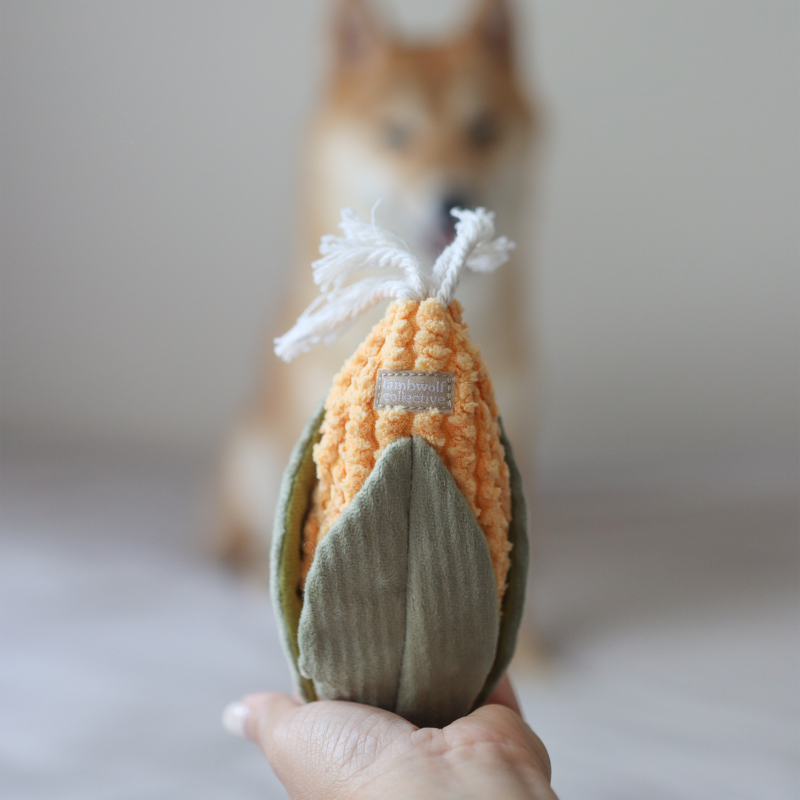 CORN //ENRICHMENT DOG TOY