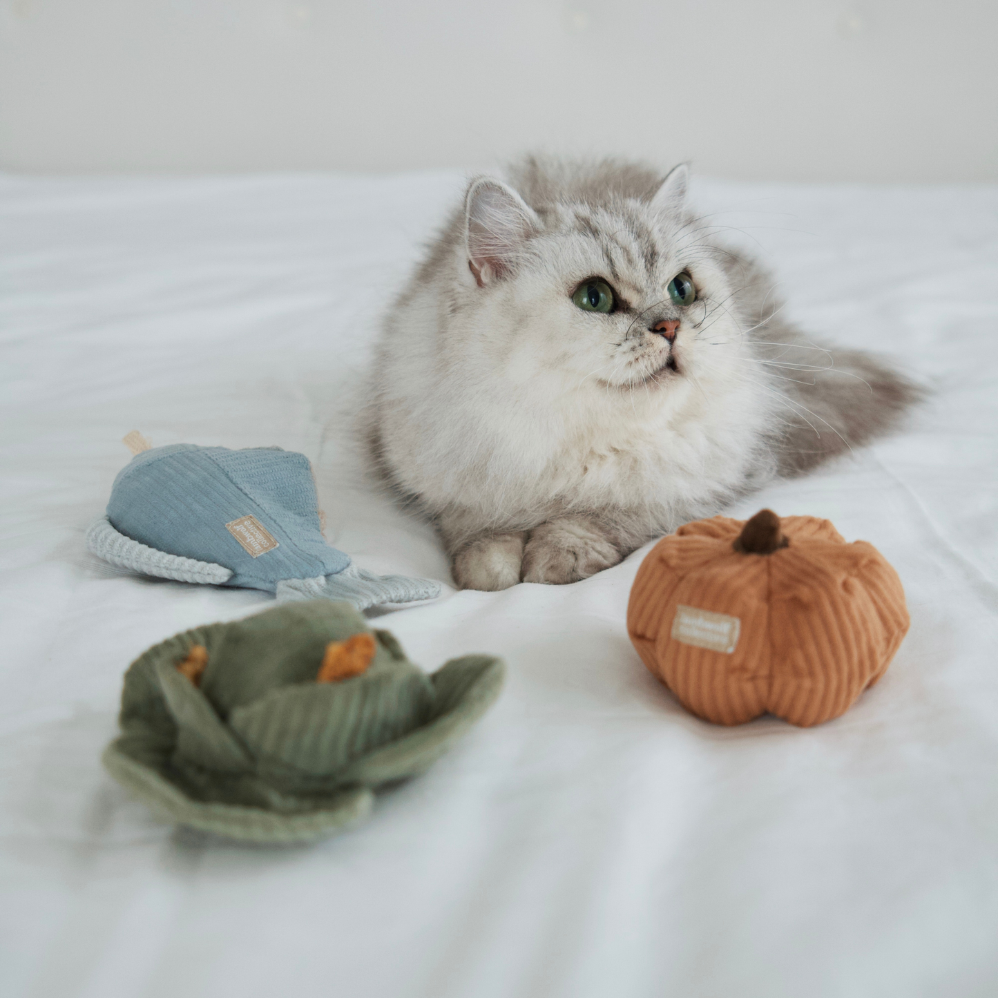 KITTY VEGGIE// CAT TOY // CATNIP