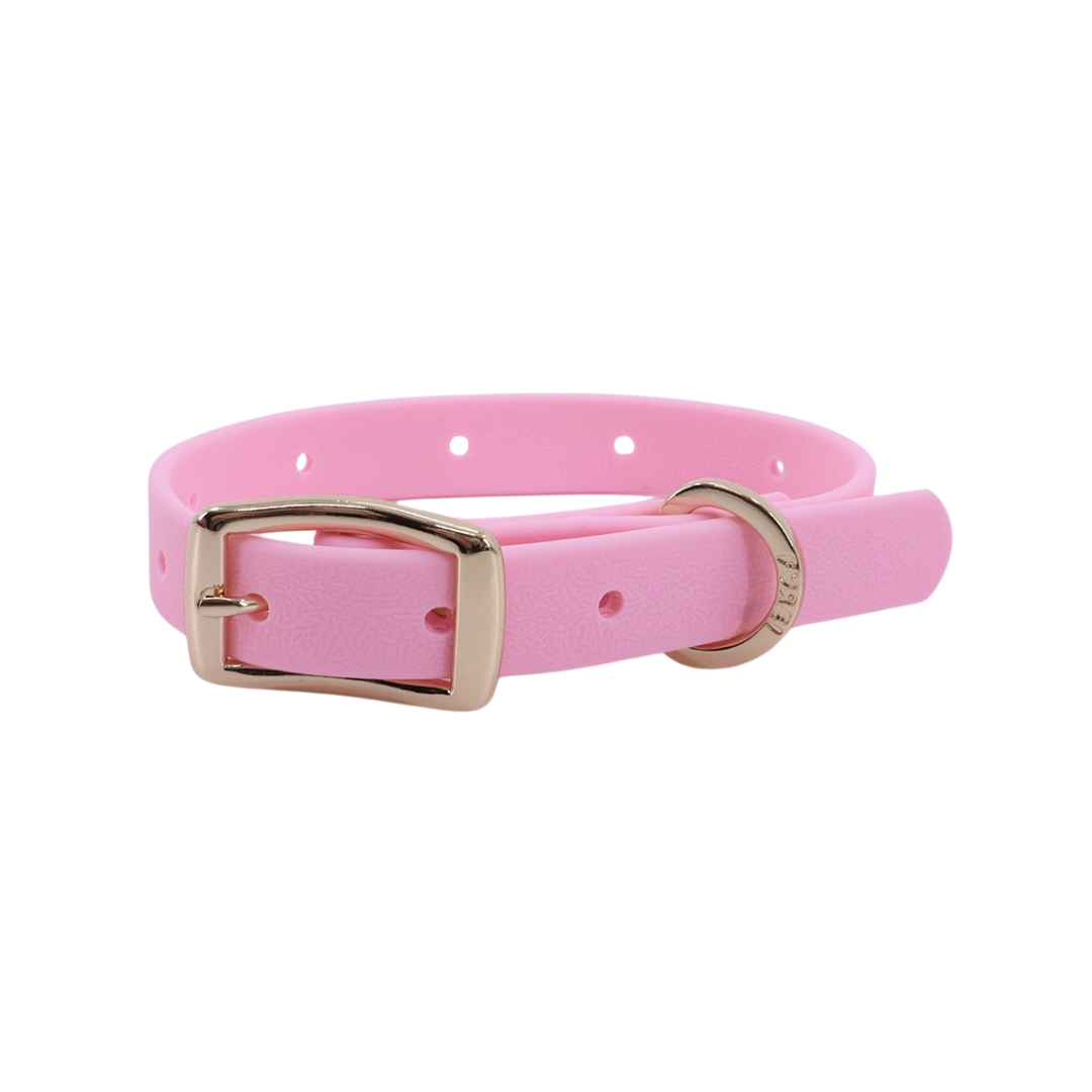 Moodies Collar: Black / XL