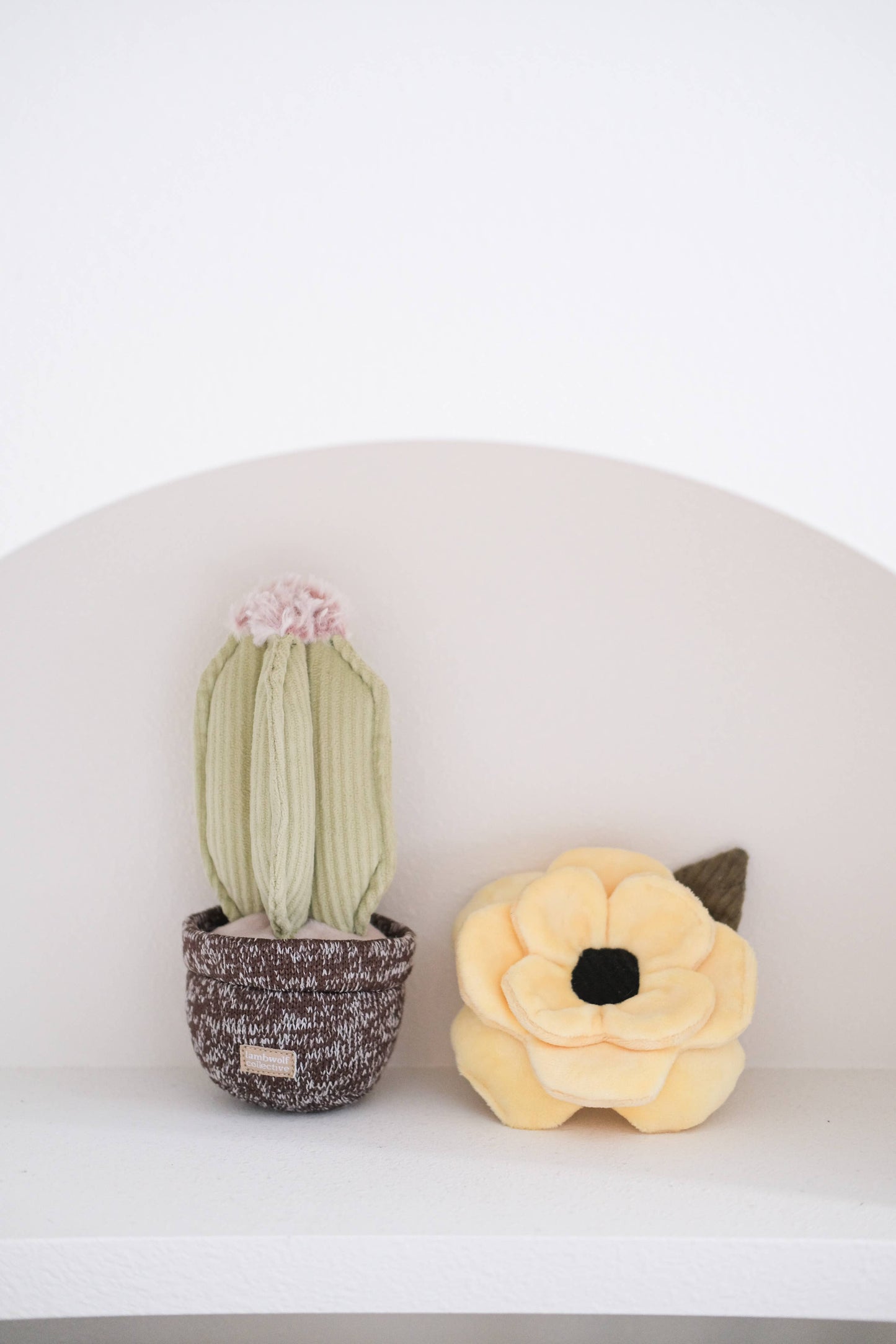 Pink Poppy : Large