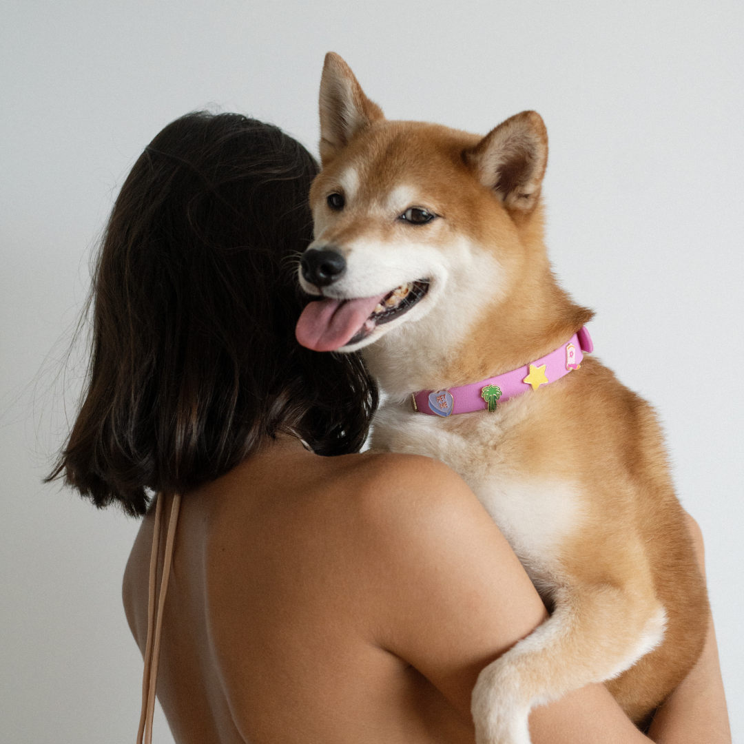 Moodies Collar: Lavender / M