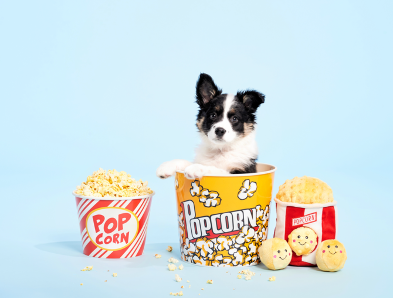 Zippy Burrow - Popcorn Bucket - Dog Toy