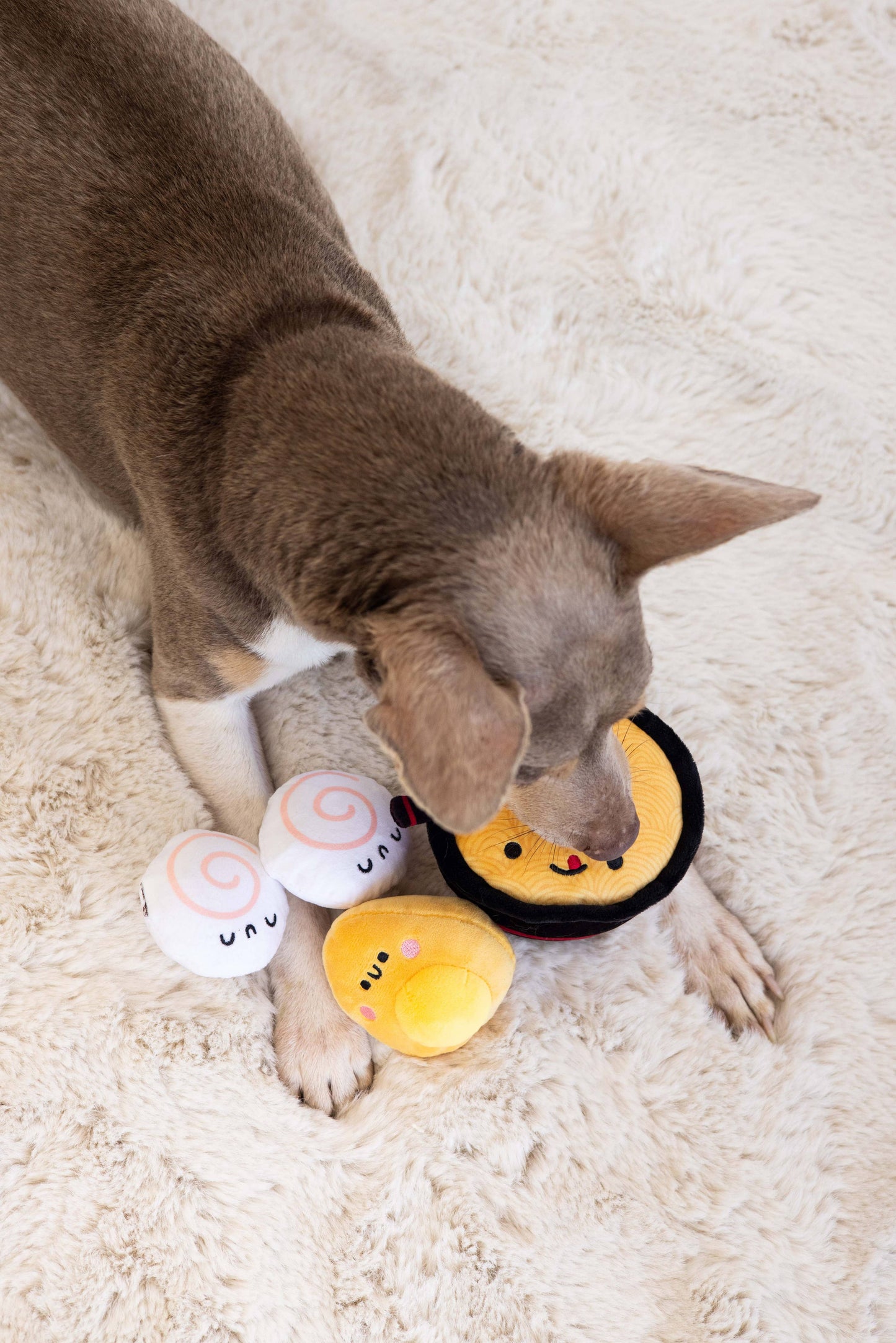 Dogkatsu Ramen Dog Toys, Set of 3